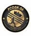 STRG FCOSK06