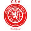 VOLMERANGE MINES CS