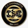 DAMMARTIN CS 3