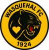 WASQUEHAL FOOTBALL 1