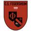 FEGERSHEIM CS