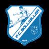 BOLLWILLER FC
