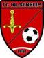 HILSENHEIM FC