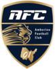AMBERIEU FC