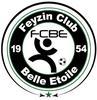 FEYZIN CBE