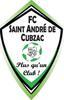 ST ANDRE CUBZAC FC 1