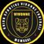 VIVONNE FOOTBALL US
