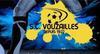 VOUZAILLES SC