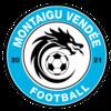 MONTAIGU VENDEE FOOT 1