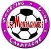 CHAMPAGNE ST HILAIRE