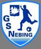NEBING AS