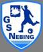 NEBING AS