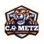 METZ CO
