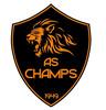 CHAMPS S/MARNE FOOT 1