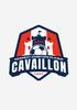 A.R.C. CAVAILLON