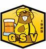 VEZELISE GS