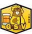 VEZELISE GS