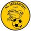 MESANGER AS