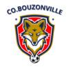 BOUZONVILLE CO