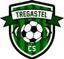 TREGASTEL CS