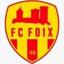 F.C. DE FOIX