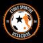 USSAC ES