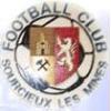 F.C. SOURCIEUX