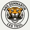 DOMMARTIN AS