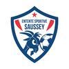 ES SAUSSEY