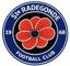STE RADEGONDE