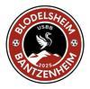 BLODELSHEIM AS