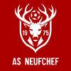 NEUFCHEF AS