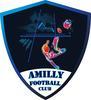 AMILLY FC