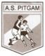PITGAM AS