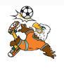 ANNAY FC