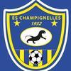 CHAMPIGNELLES