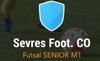SEVRES FOOT CO