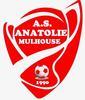 MULH. ANATOLIE A.S.