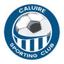 CALUIRE S.C.