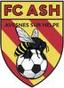 AVESNES S/HELPE FC96