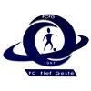 LE FIEF GESTE FC 1