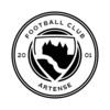 F.C. DE L ARTENSE