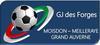 GJ DES FORGES