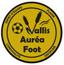VALLIS AUREA FOOT