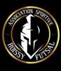 ROISSY BRIE FUTSAL 2