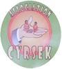 CYRSEK A.S.