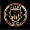 MELUN FUTSAL 1