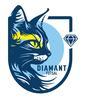 DIAMANT FUTSAL