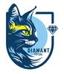 DIAMANT FUTSAL