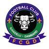 GANDELU DAMMARD FC